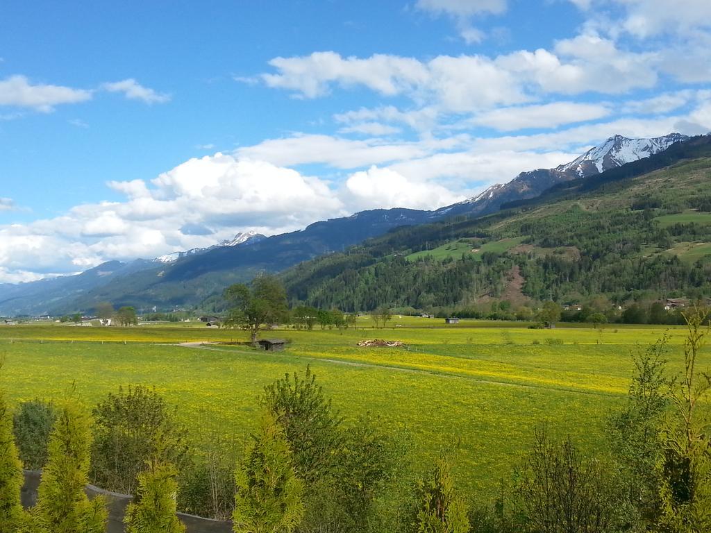Apartment Lochner Piesendorf-Walchen エクステリア 写真